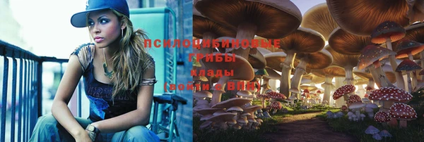 MDMA Беломорск